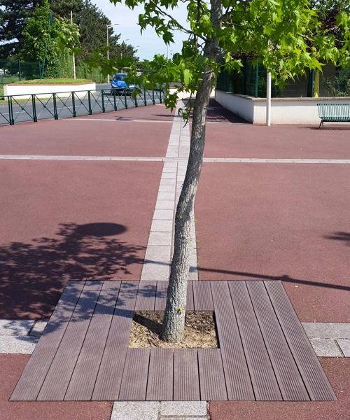 Pied d'arbre
